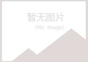 赤峰松山从灵能源有限公司